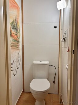 3+1  Opava- klidná ulice, 300m od centra, parkování ve dvoře - 16