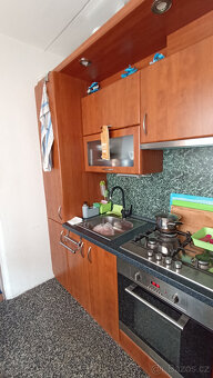 Útulný byt 2+1 (68 m²) s parkovacími místy a zahradou - 16
