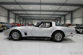 Corvette C3, 5.7L V8, 1982 - 16