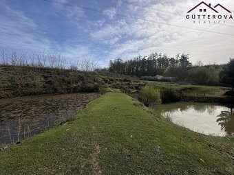 Prodej pozemků se dvěma rybníky, 15 233 m2 - Hradec u Stoda - 16