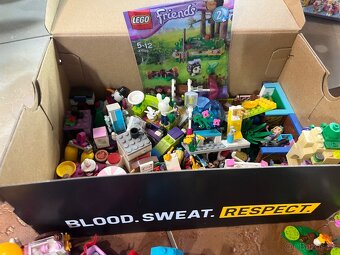 MEGA SADA LEGO FRIENDS + PLASTOVÉ BOXY GRATIS - 16