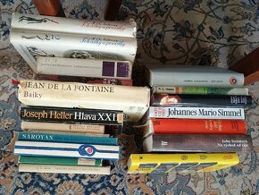 Knihy viz seznam níže - beletrie i odborná literatura - 16