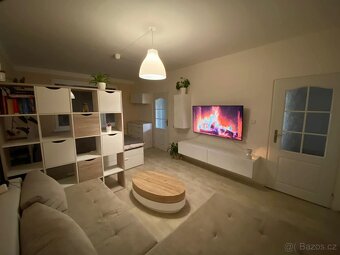 Pronájem bytu Střekov 2+1 - 16