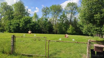 rodinný dům s pozemky,chatkou - 16
