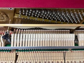 Yamaha C110A se zárukou, doprava a židle zdarma. - 16