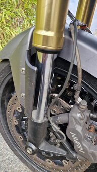 TRIUMPH TIGER 1050 - 16