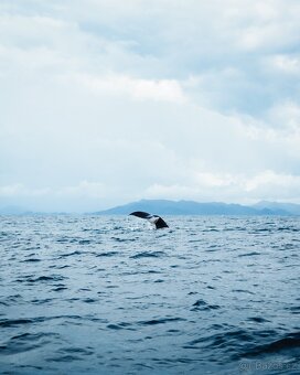 Fotoaparát Olympus PEN + objektivy - 16