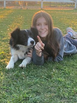 Border kolie již k odběru - 16