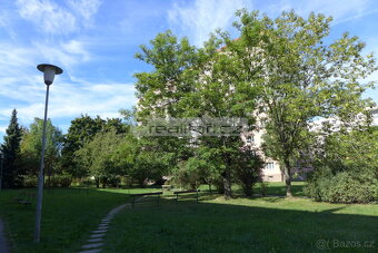 Prodej prostorného cihlového bytu 2+1 s komorou v Plzni na D - 16