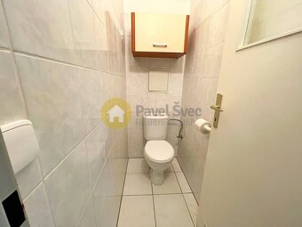 Pronájem bytu 2+1, 52 m2, lodžie, sklep, Horažďovice - 16