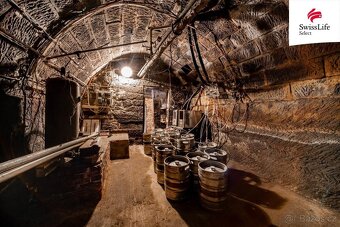 Prodej ubytovacího zařízení 3123 m2, Budislav - 16