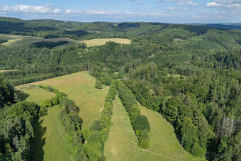 Prodej souboru zemědělských pozemků, 73 836 m², Městečko Trn - 16