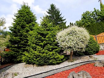 Prodej rodinného domu, Březová nad Svitavou - 16