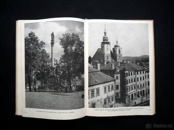 Umělecké památky Jihlavy ( rozfoceno 20 snímků ) - 16