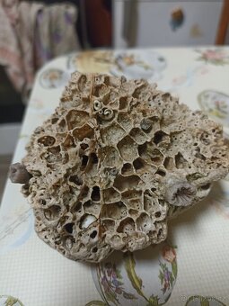 Prodám minerály různé druhy kamenů - 16