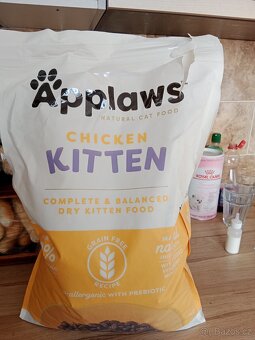 Kanadský sphynx - 16