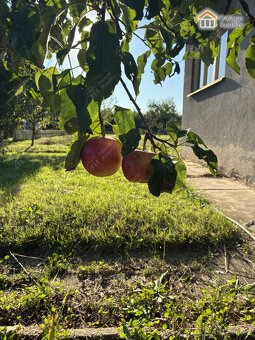 Prodej rekerační chatky se zahradou 599 m2 - 16
