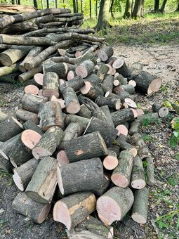 Prodej palivového dřeva - 16