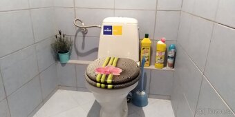 Lesní jezdecké tábory - 16