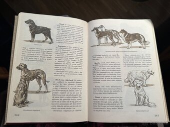 Světem zvířat - 16