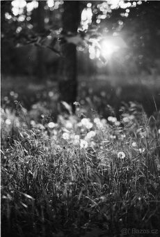 Olympus OM40 + objektivy tokina + motor - 16