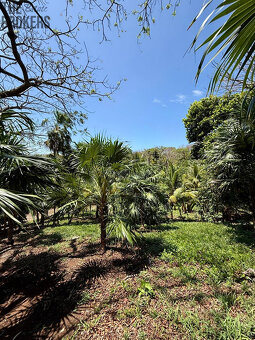 Atocha Lot 1&2 -First Bight, Roatan - 16