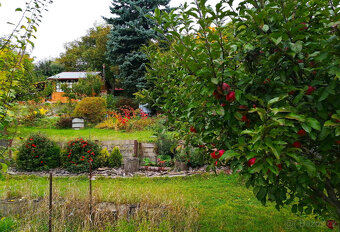 Kladno - prodej chaty s ev.č. s rozlehlou zahradou 845m2 - 16