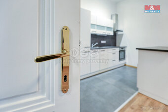 Pronájem bytu 3+kk, 78 m², Plzeň, ul. Dobrovského - 16
