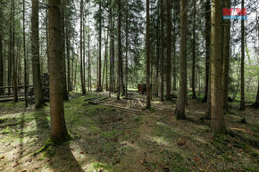 Prodej 1/3 lesa, 2967 m², Čachrov - 16