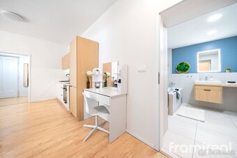 Prodej bytu 2+kk, 49 m2 - Praha - Žižkov, ev.č. 01747 - 16