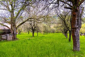 Prodej stavební parcely 2072 m2 Starý Hrozenkov - 16