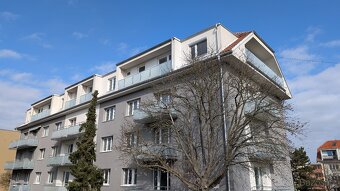 Pronájem: byt 2+1 s lodžií / Ivančice - 16