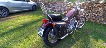 Suzuki VS 800 GL Intruder - 16