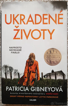 Číslo 20, Tajemství pomocnice, Skryté karty, Ukradené životy - 16