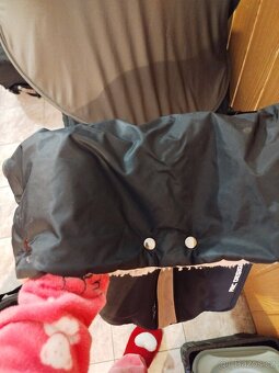 Sourozenecký kočár - 16