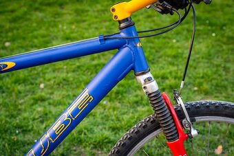 Horské kolo Cube Limited Edition - 16