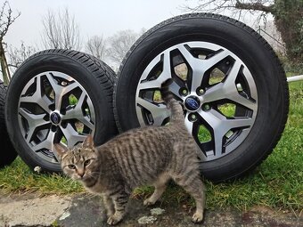 Originál ALU kola Subaru Forester + zimní pneu - 16