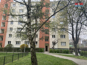 Prodej, byt 2+1, 56 m2, Praha - Vokovice, ul. Senegalská - 16
