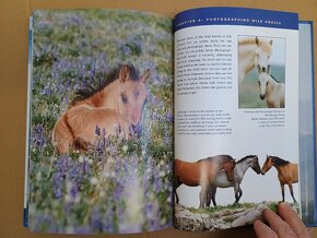 Knihy o koních, focení koní, koně - 16