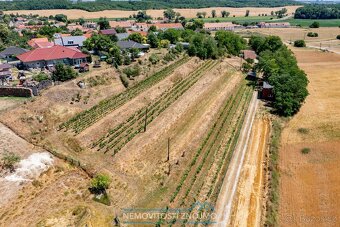 Prodej vinného sklepa s lisovnou a ubytovacím apartmánem, vč - 16