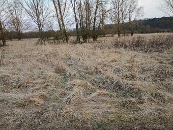 Pozemek u jezera Pístník, přes 1,8 ha, blízko dálnice D8... - 16