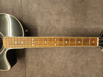 Česká akustická polomasivní kytara FURCH - 16