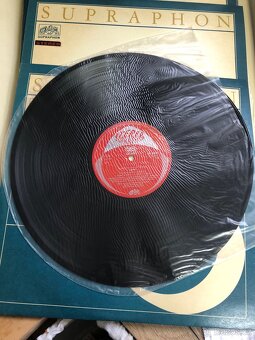 Vinylové desky - 16