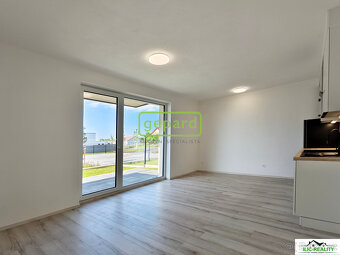 Pronájem bytu 1+kk 32,60 m² Vysoká, Plzeň - Litice - 16