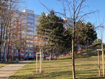 Byt 3+1 osobní vlastnictví ulice Javorová v Mostě. - 16