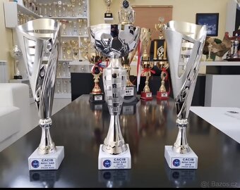 Štenátko Kaukazský ovčiak - 16