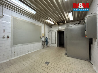 Pronájem výrobního objektu, 2400 m², Litenčice - 16