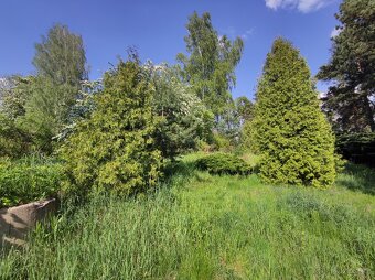 Pronajmu nový byt 2+1 v Mimoni, ul. Lužická, byt č. 3 - 16