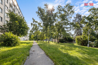 Prodej bytu 1+kk, 27 m2, Kladno, ul. Dánská - 16