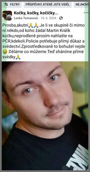 kočka ústí n.l. - 16